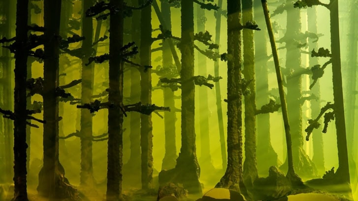 Among the Trees, Hayward Gallery review- ‘a forest of poignant pieces’