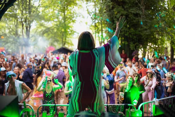 wild wood disco