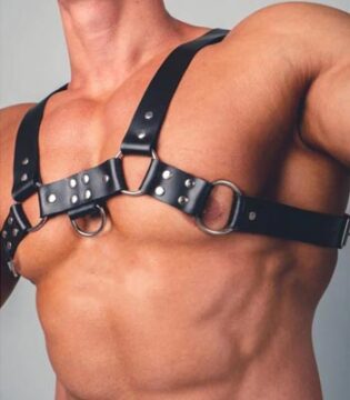 gay harness