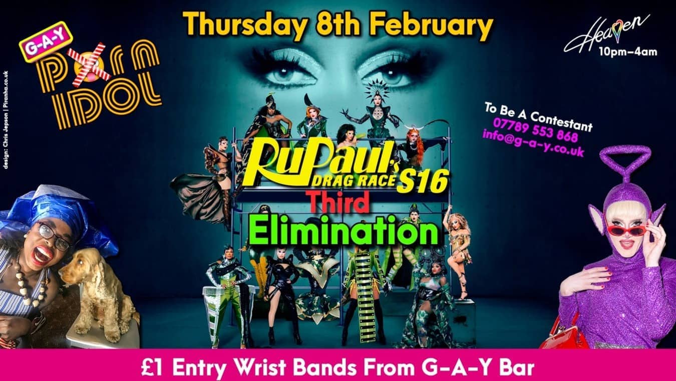 G-A-Y Porn Idol