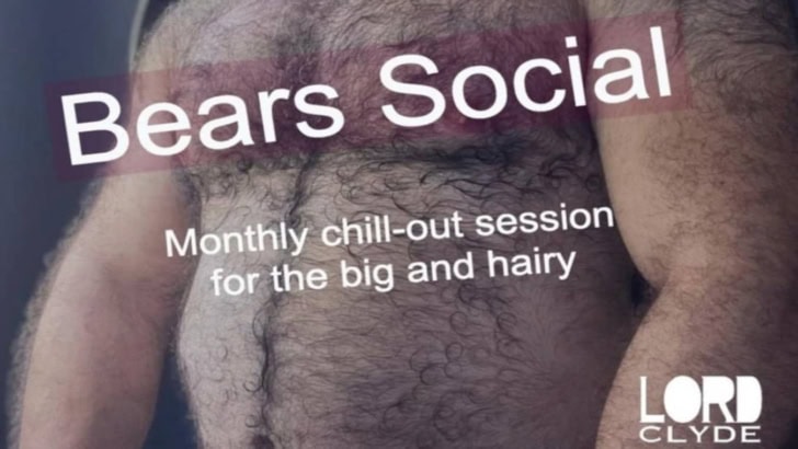 Bears Social