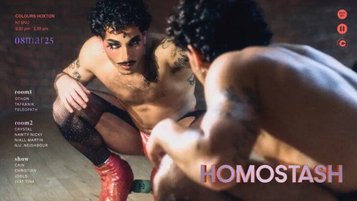 Homostash Wild Circus Rave
