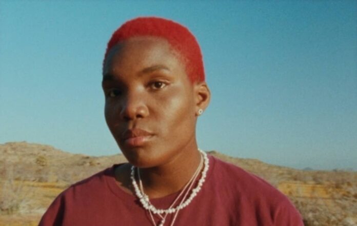 Arlo Parks