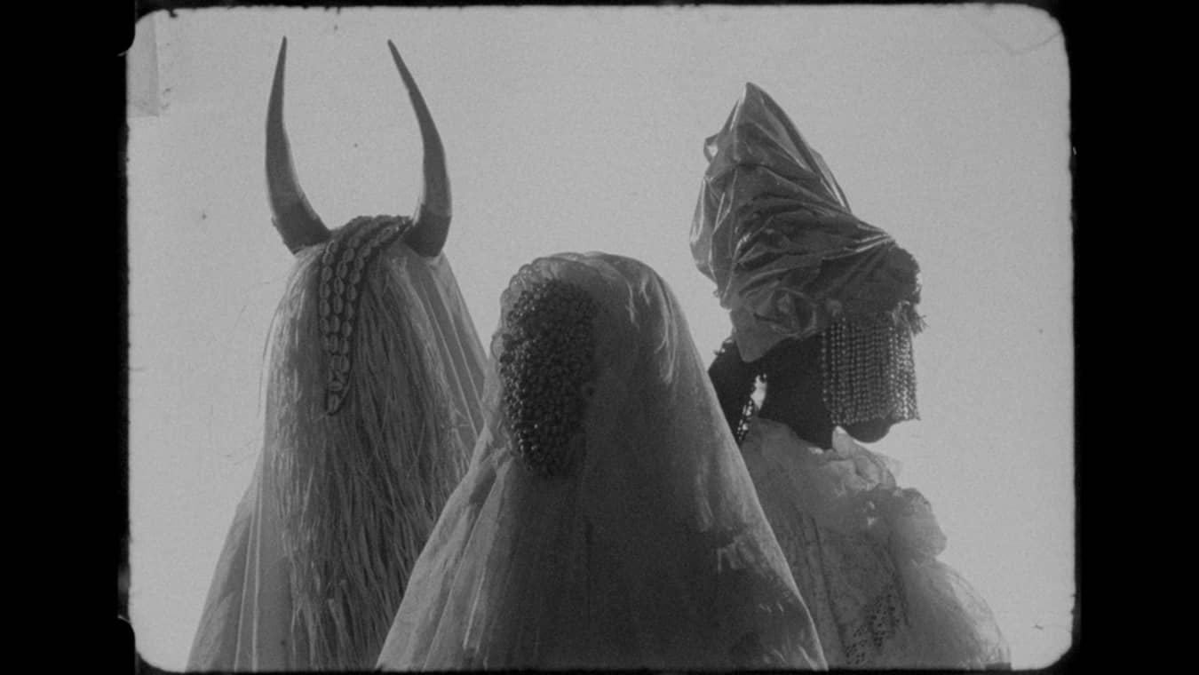 The Archive: Queer Nigerians.