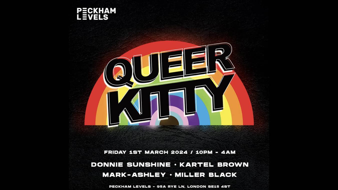 Queer Kitty
