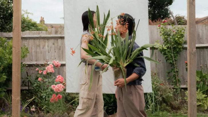 Two Plant Gaysians