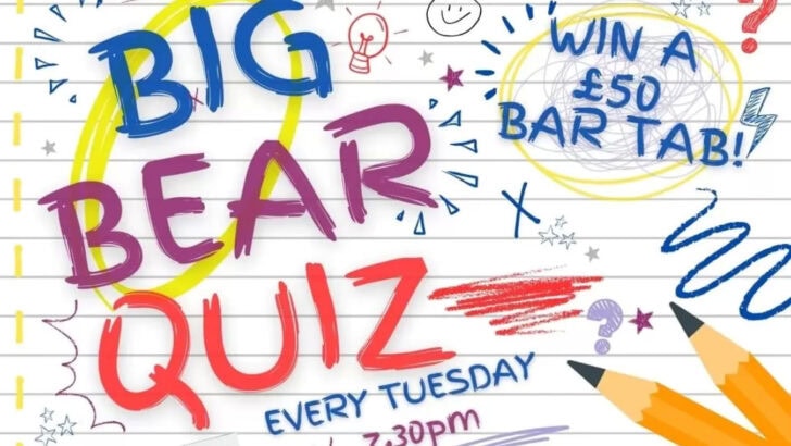 The Bear Quiz