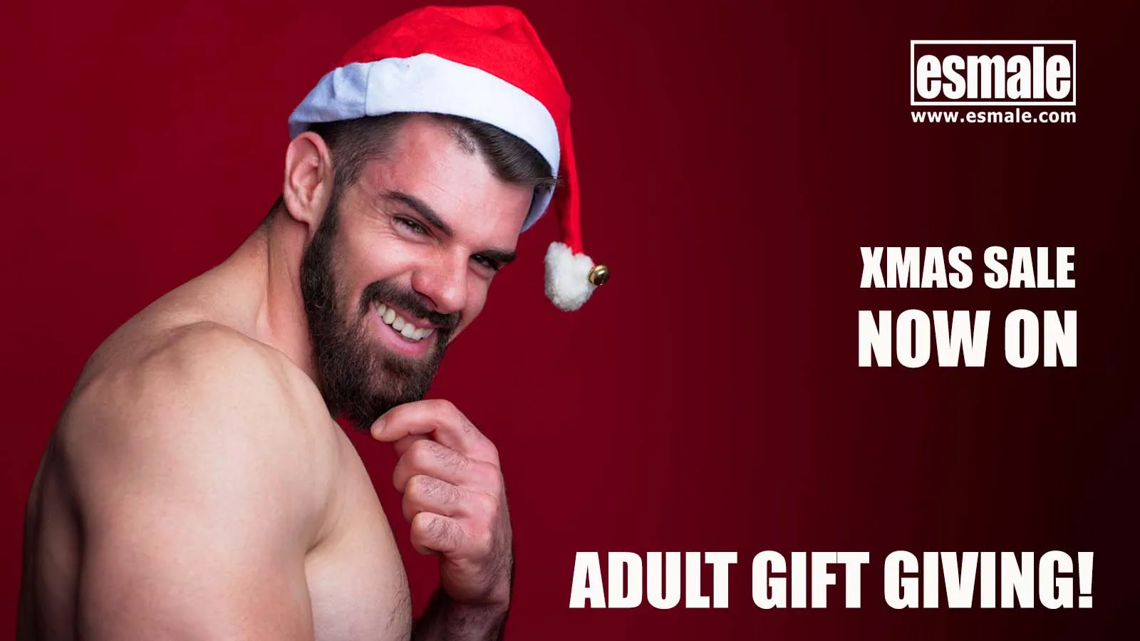 Esmale's gay adult Christmas gift guide