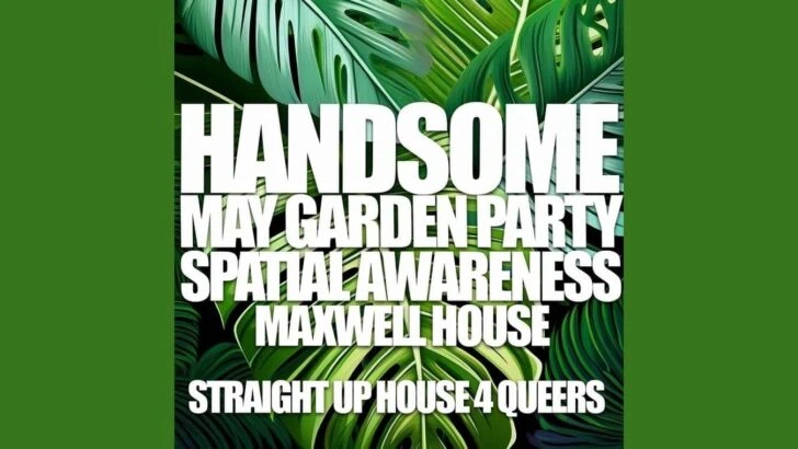 Handsome House Party