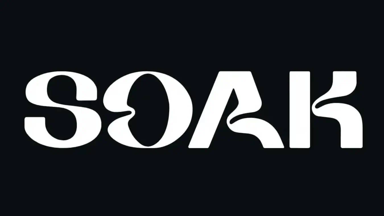 SOAK is a FLINTA party night at Electrowerkz night club in London.