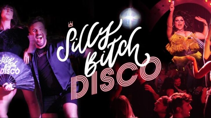 Sill B!tch Disco presents Silly Bowel Disco charity fundraiser